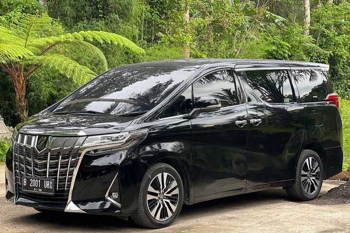 Toyota Alphard model reference